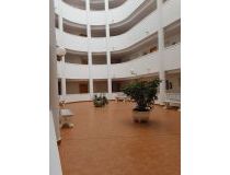 Sprzedaż - Penthouse - Torrevieja - Torrevieja town