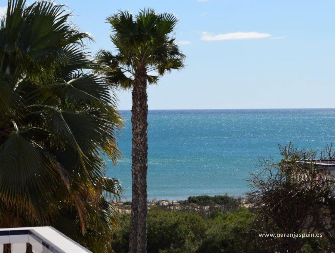 Sprzedaż - Penthouse’y - Guardamar del Segura - Campomar