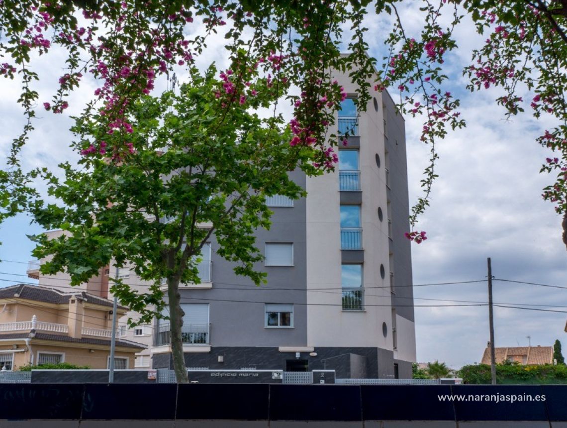 Sprzedaż - Penthouse’y - Torrevieja - Torrevieja town