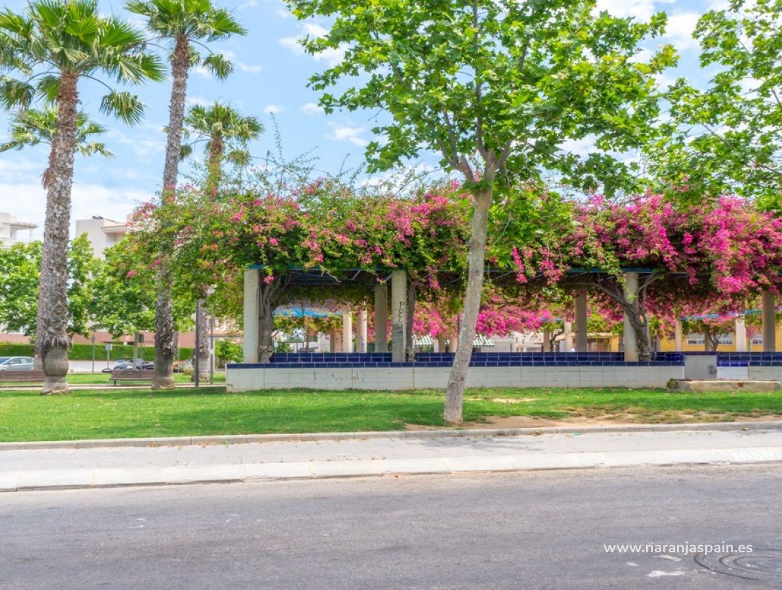 Sprzedaż - Penthouse’y - Torrevieja - Torrevieja town