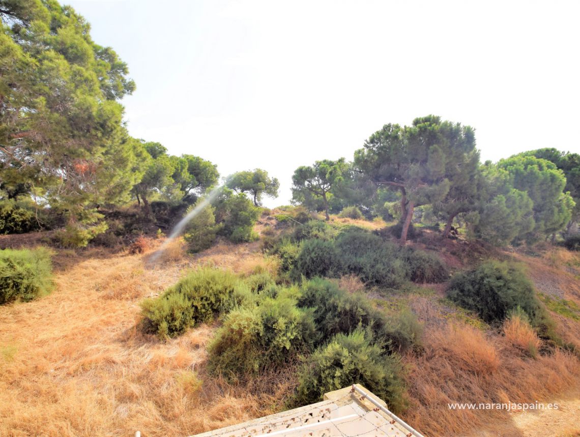 Sprzedaż - Willa - Guardamar del Segura - Centrum Guardamar