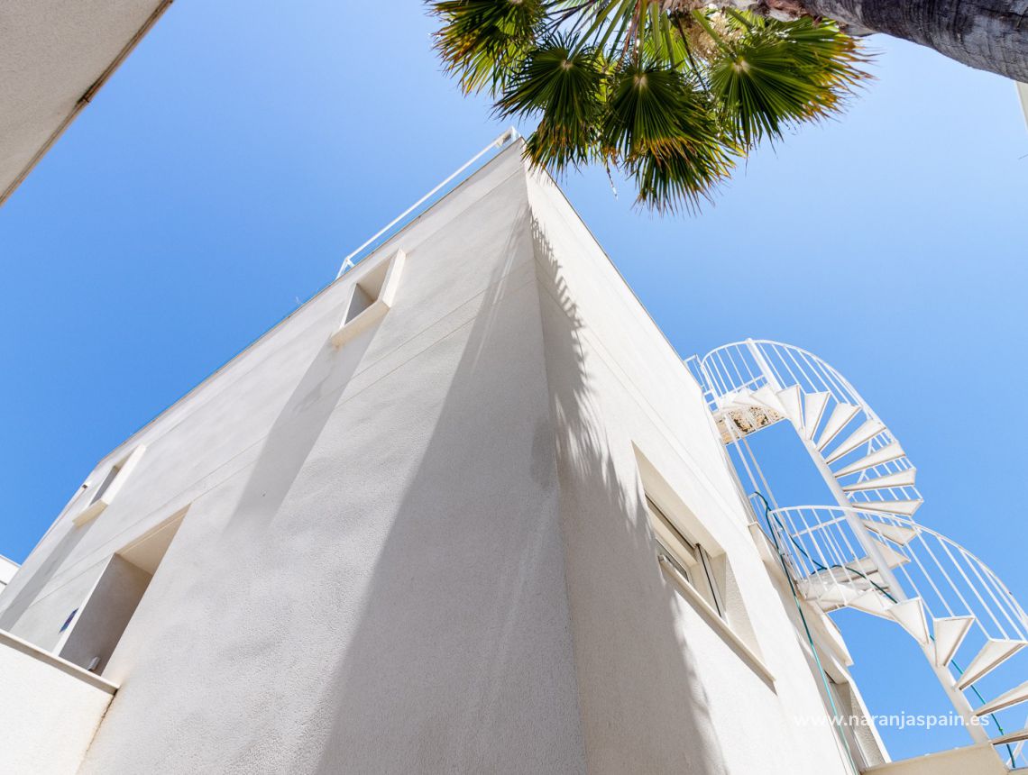 Sprzedaż - Willa - Guardamar del Segura - Guardamar