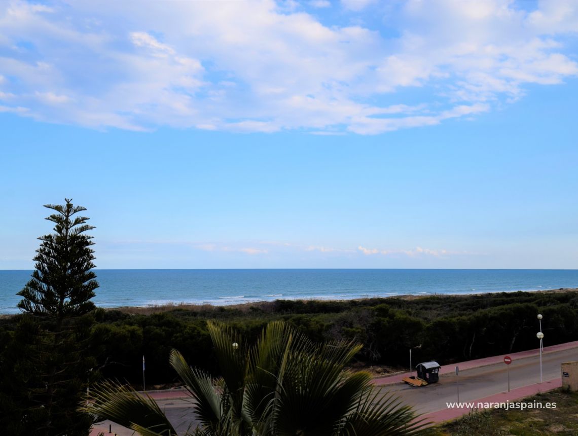 Sprzedaż - Willa - Guardamar del Segura - Urb. El Moncayo 