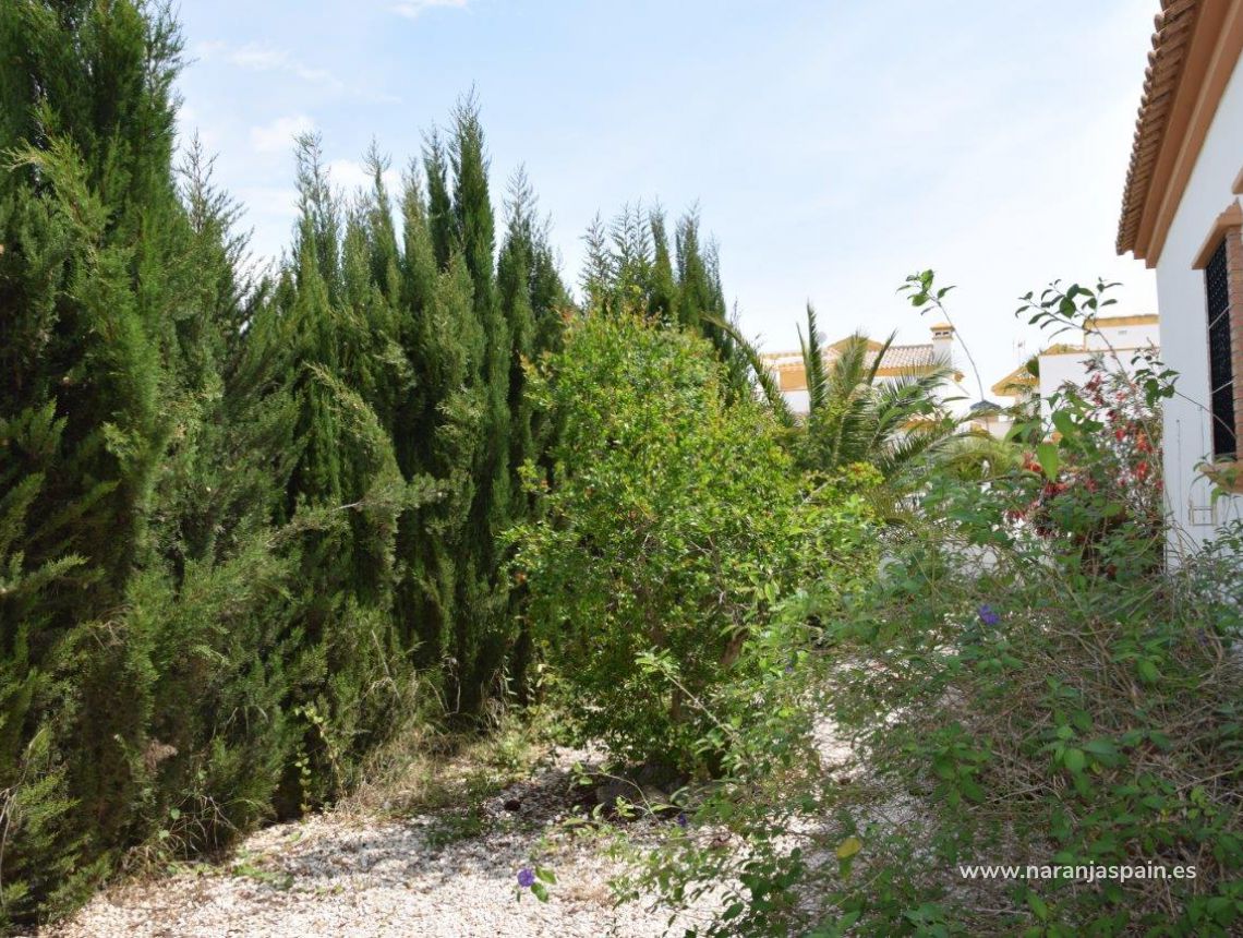 Sprzedaż - Willa - Guardamar del Segura - Urb. El Raso