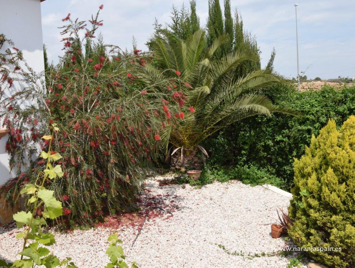 Sprzedaż - Willa - Guardamar del Segura - Urb. El Raso