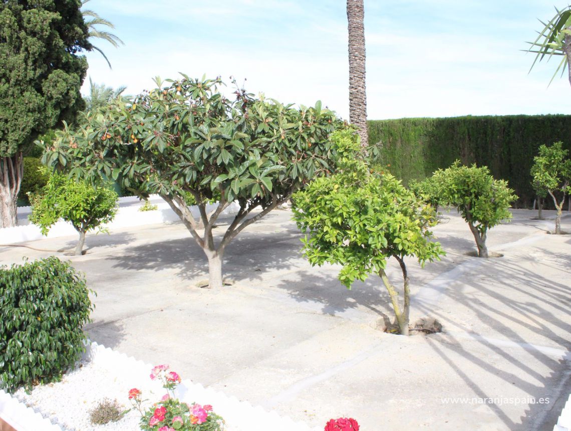 Sprzedaż - Willa - Santa Pola