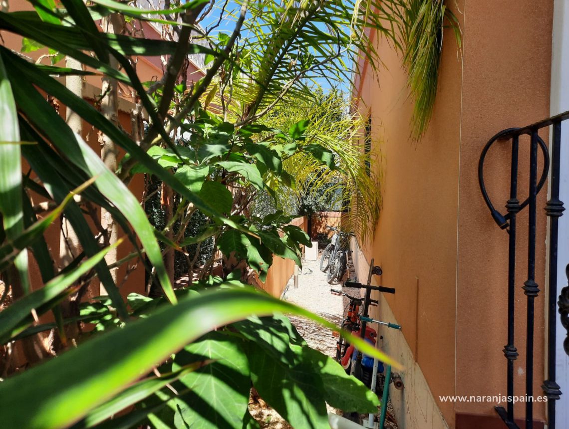 Sprzedaż - Willa - Torrevieja - Aguas Nuevas