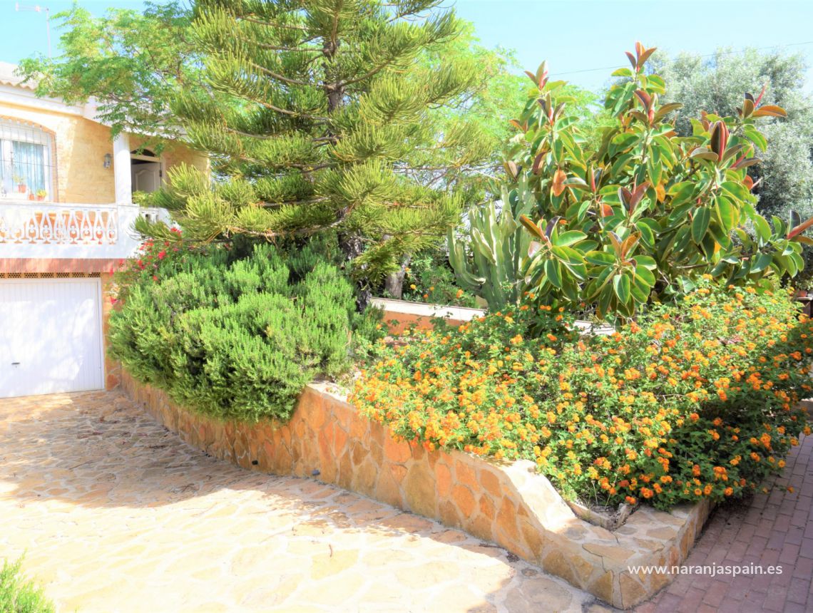 Sprzedaż - Willa - Torrevieja - Aguas Nuevas