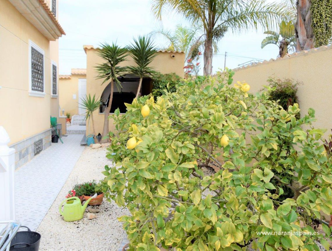 Sprzedaż - Willa - Torrevieja - El Chaparal