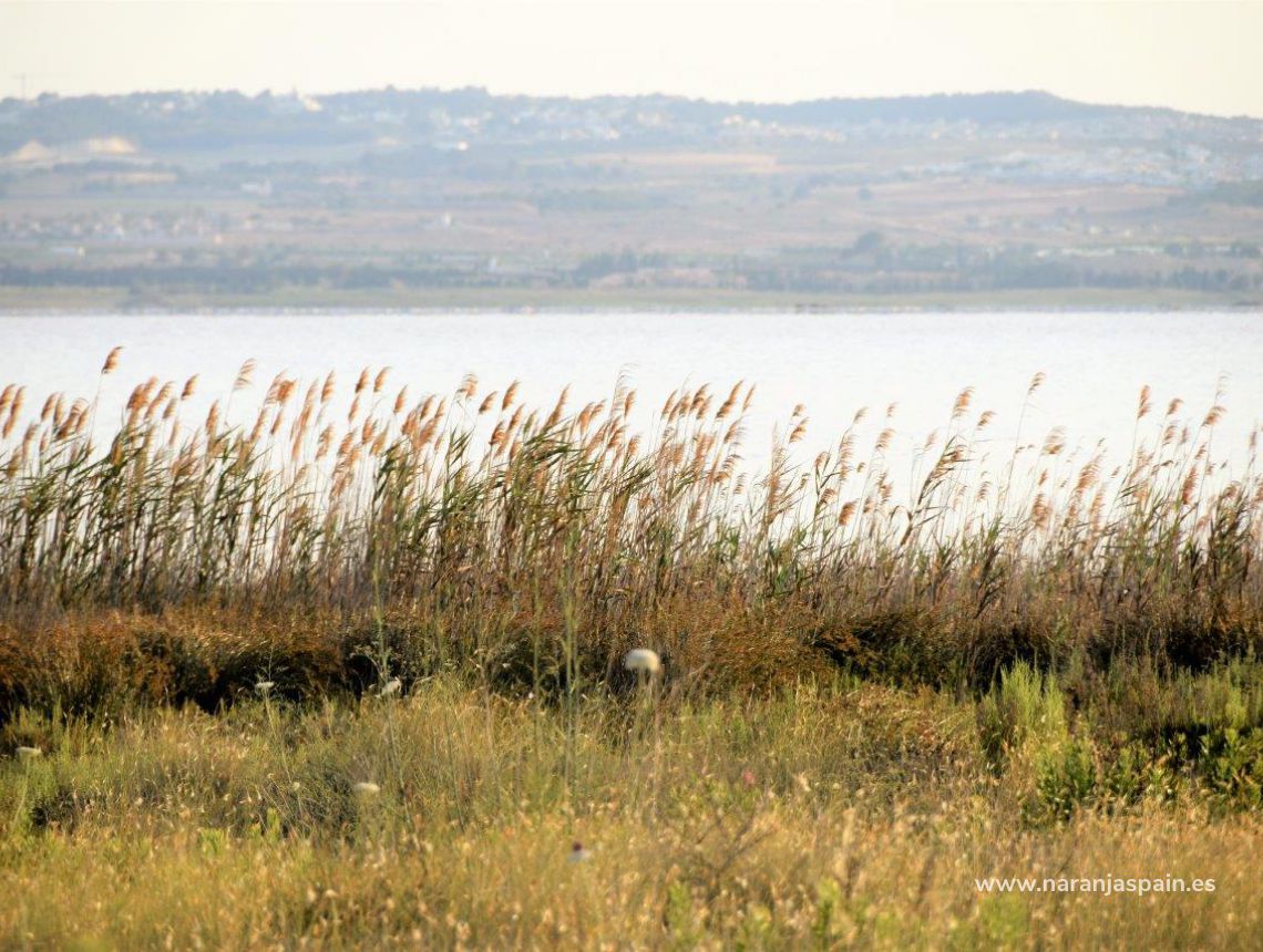 Sprzedaż - Willa - Torrevieja - El Chaparal