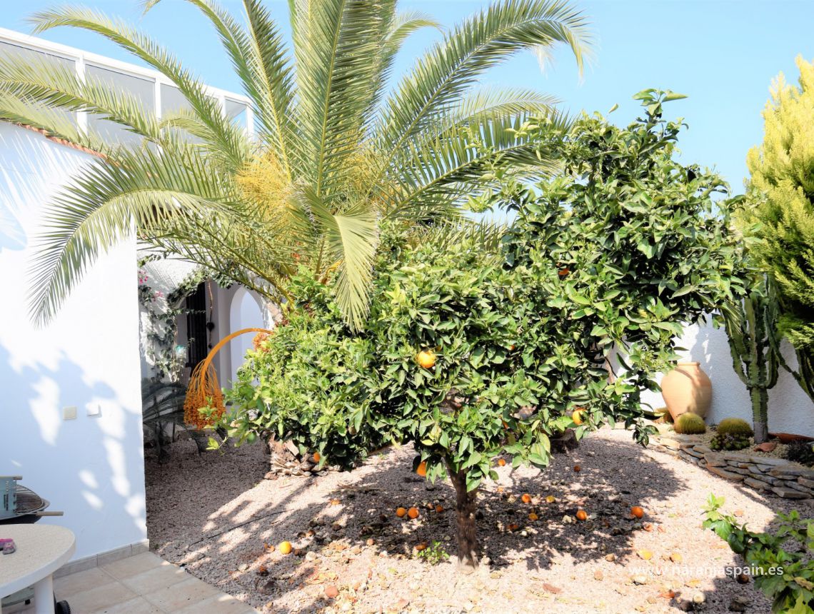 Sprzedaż - Willa - Torrevieja - El Chaparal