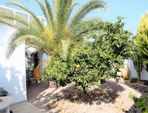 Sprzedaż - Willa - Torrevieja - El Chaparal