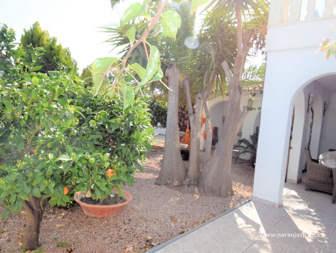 Sprzedaż - Willa - Torrevieja - El Chaparal