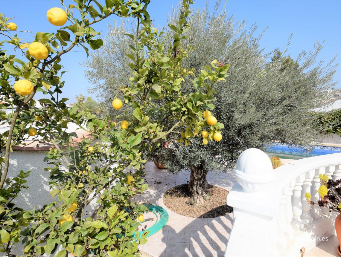 Sprzedaż - Willa - Torrevieja - El Chaparal