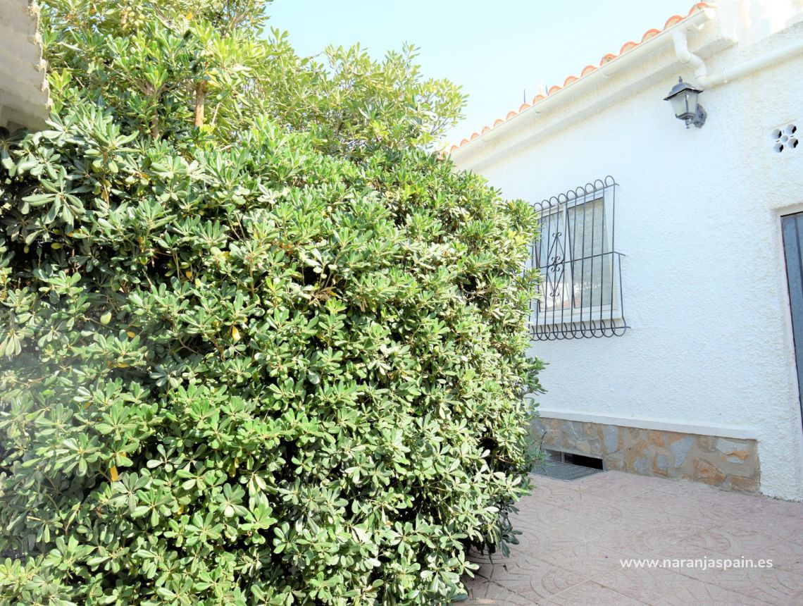 Sprzedaż - Willa - Torrevieja - El Chaparal