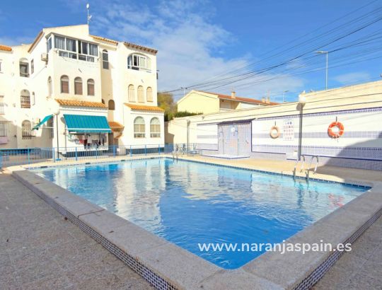 Studio - Sprzedaż - Torrevieja - El Acequión - Los Náufragos