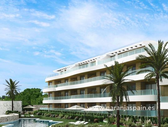 Takvåning -  - Orihuela Kusten - Playa Flamenca