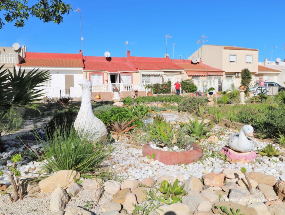 Til Salgs - Bungalow - Torrevieja - El Chaparal