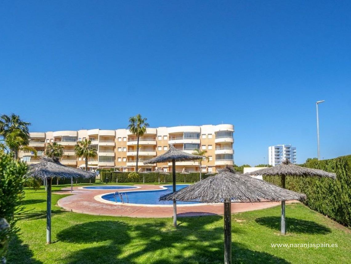 Til Salgs - Leilighet - Dehesa de campoamor - Campoamor