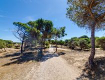 Til Salgs - Leilighet - Guardamar del Segura - Pinomar