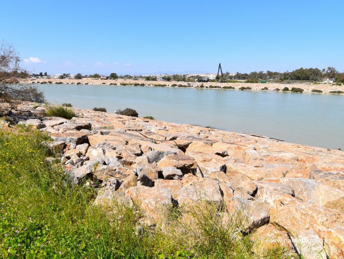 Til Salgs - Leilighet - Guardamar del Segura - Puerto