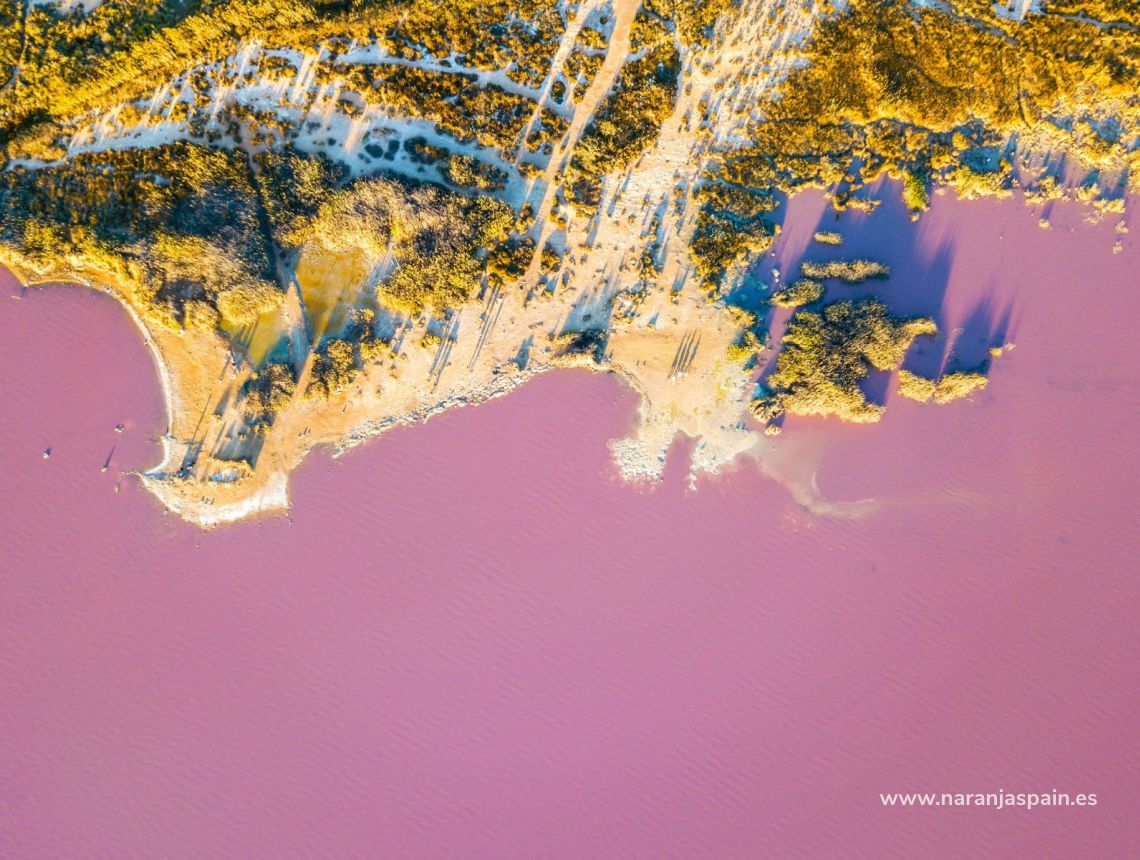 Til Salgs - Leilighet - Torrevieja - Acequion