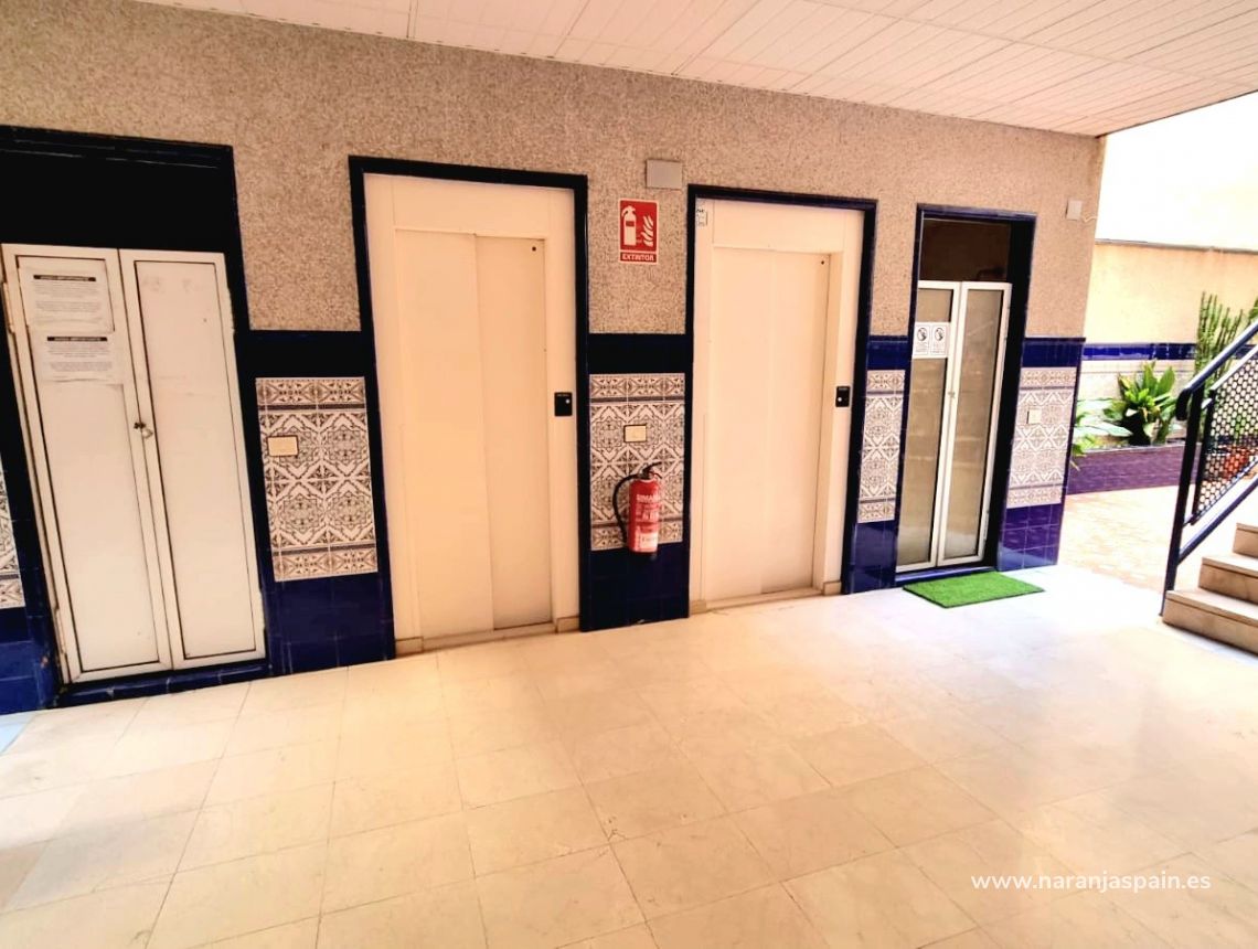 Til Salgs - Leilighet - Torrevieja - Curva del Palangre