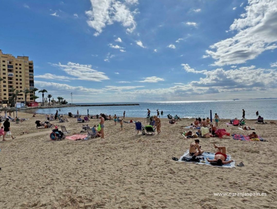 Til Salgs - Leilighet - Torrevieja - Playa del Cura