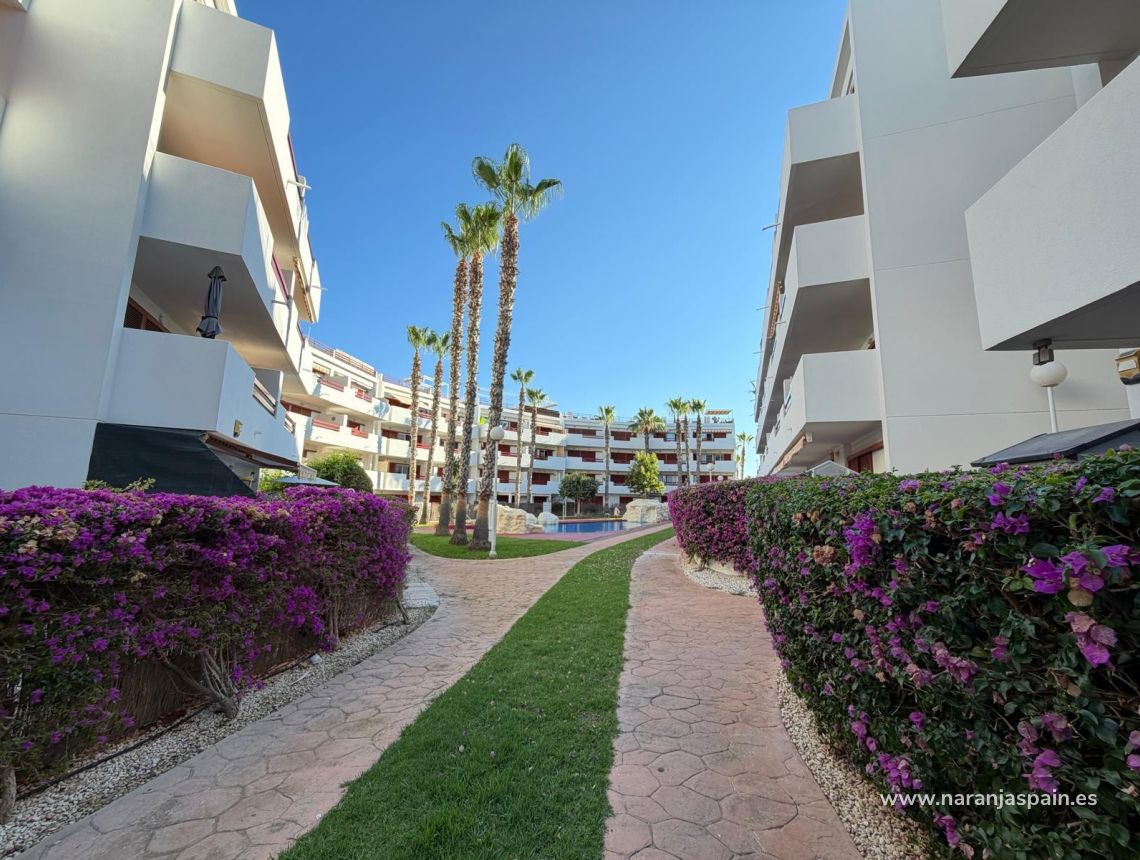 Til Salgs - Penthouse  - Orihuela Costa - Punta Prima