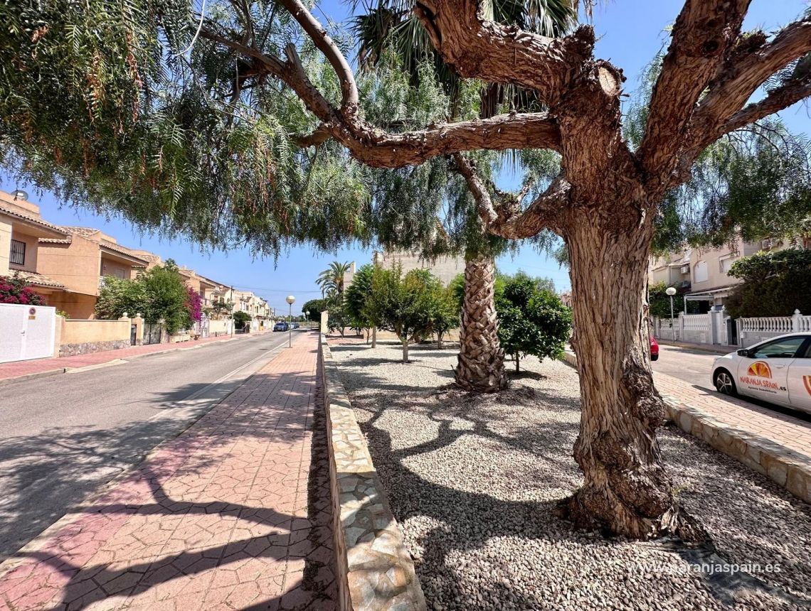 Utleie - Adosado - Guardamar del Segura - Urb. Portico Mediterraneo