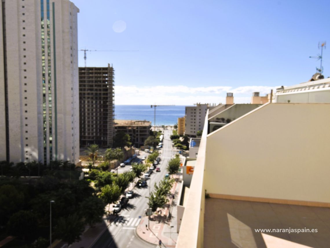 Utleie - Leilighet - Benidorm - Playa Poniente