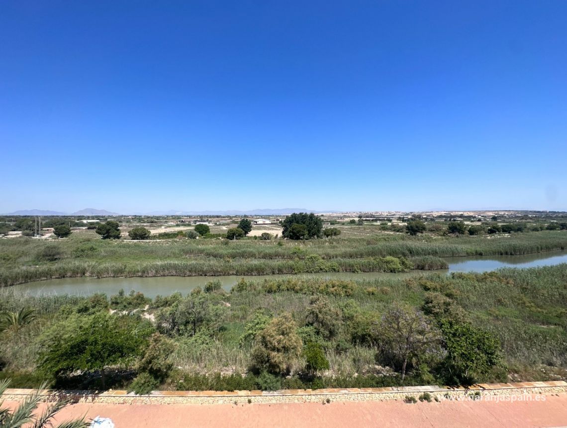 Utleie - Leilighet - Guardamar del Segura - Avenida del Puerto