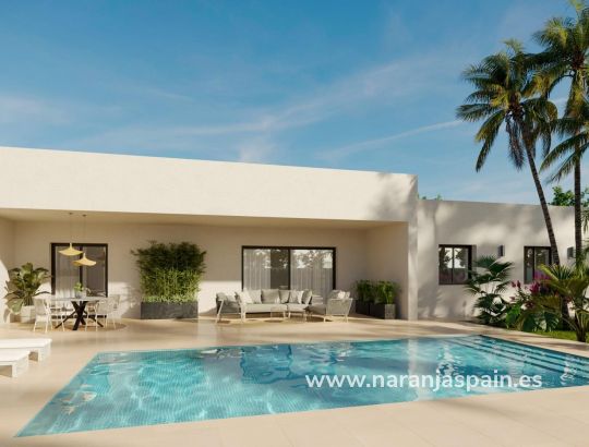 Villa - New build - Aspe - Poligono 19