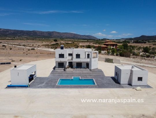 Villa - New build - Pinoso - Camino Del Prado