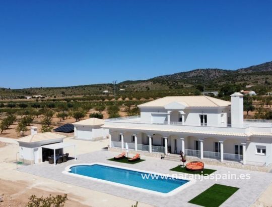 Villa - New build - Pinoso - Camino Del Prado