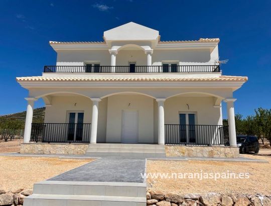 Villa - Ny bolig - Pinoso - Camino Del Prado