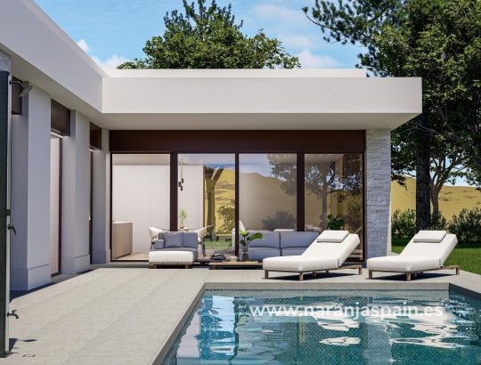 Villa - Obra Nueva - Pinoso - Lel