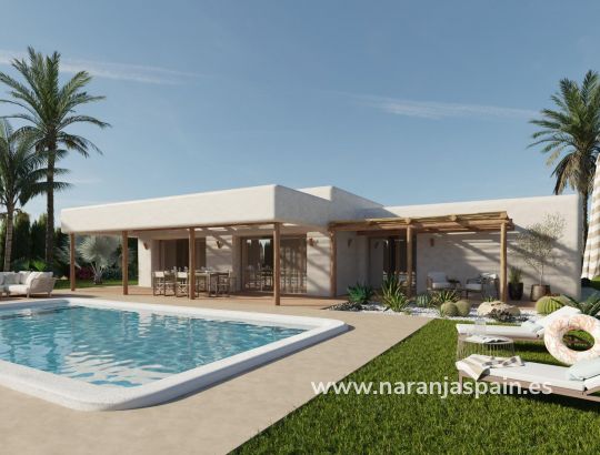 Villa - Obra Nueva - Pinoso - Rodriguillo