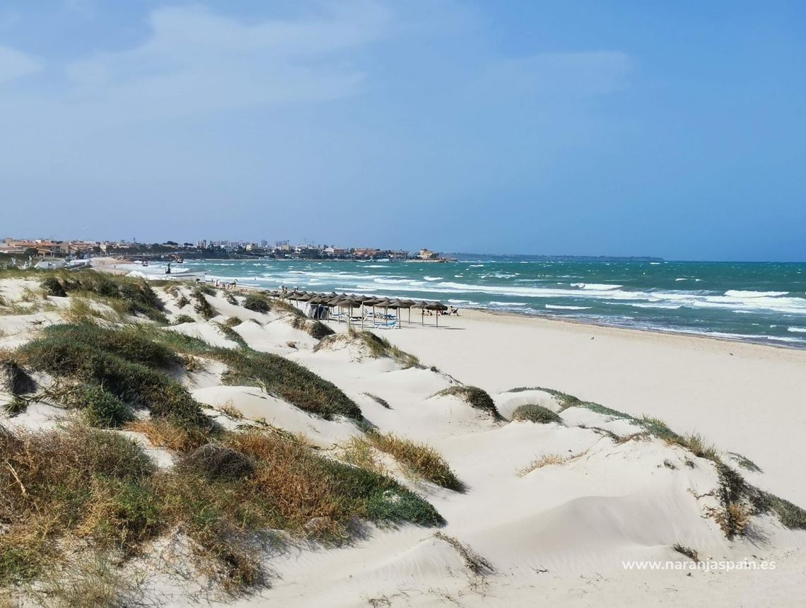  - Villa - Pilar de la Horadada - Pilar De La Horadada