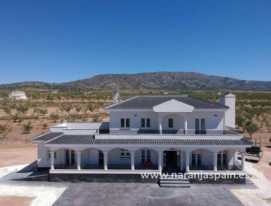 Villa -  - Pinoso - Camino Del Prado