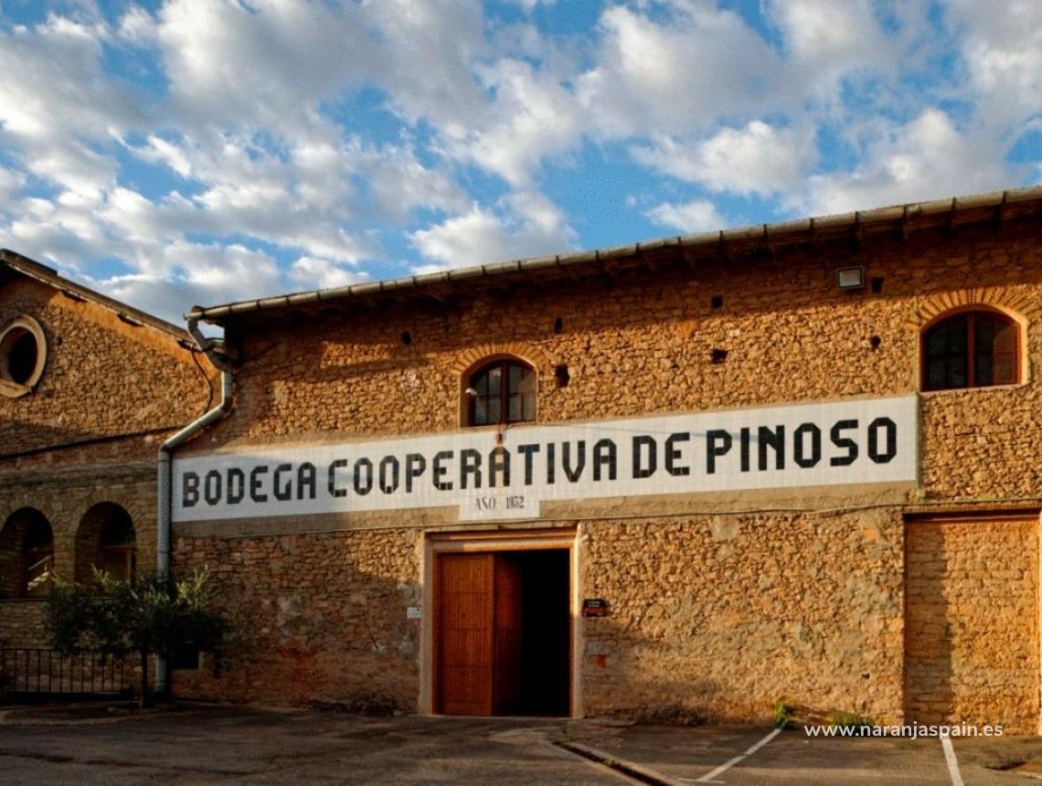  - Villa - Pinoso - Campo