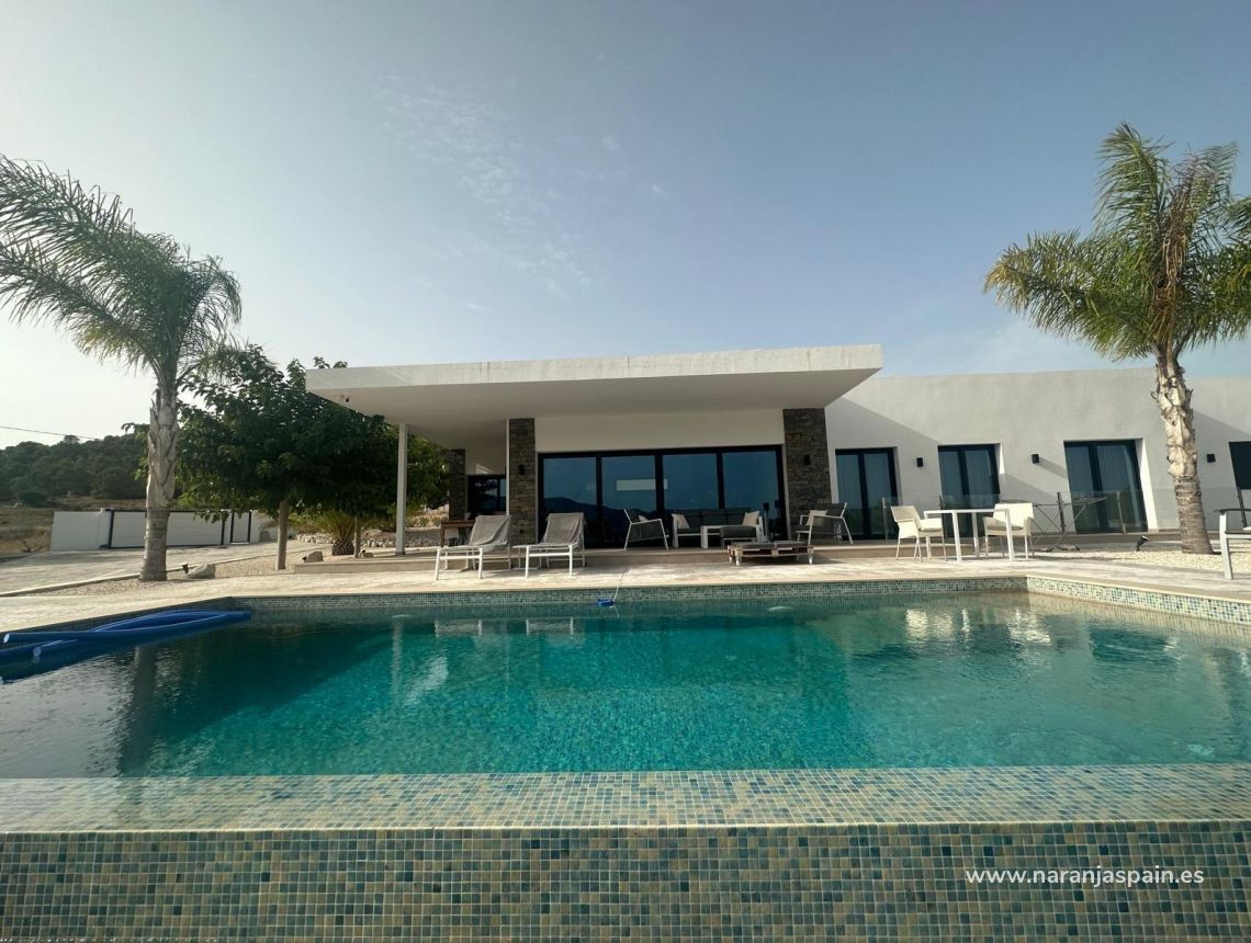  - Villa - Pinoso - Casas Pastor