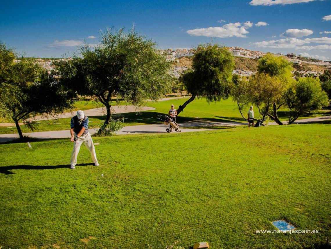  - Villa - Rojales - Benimar