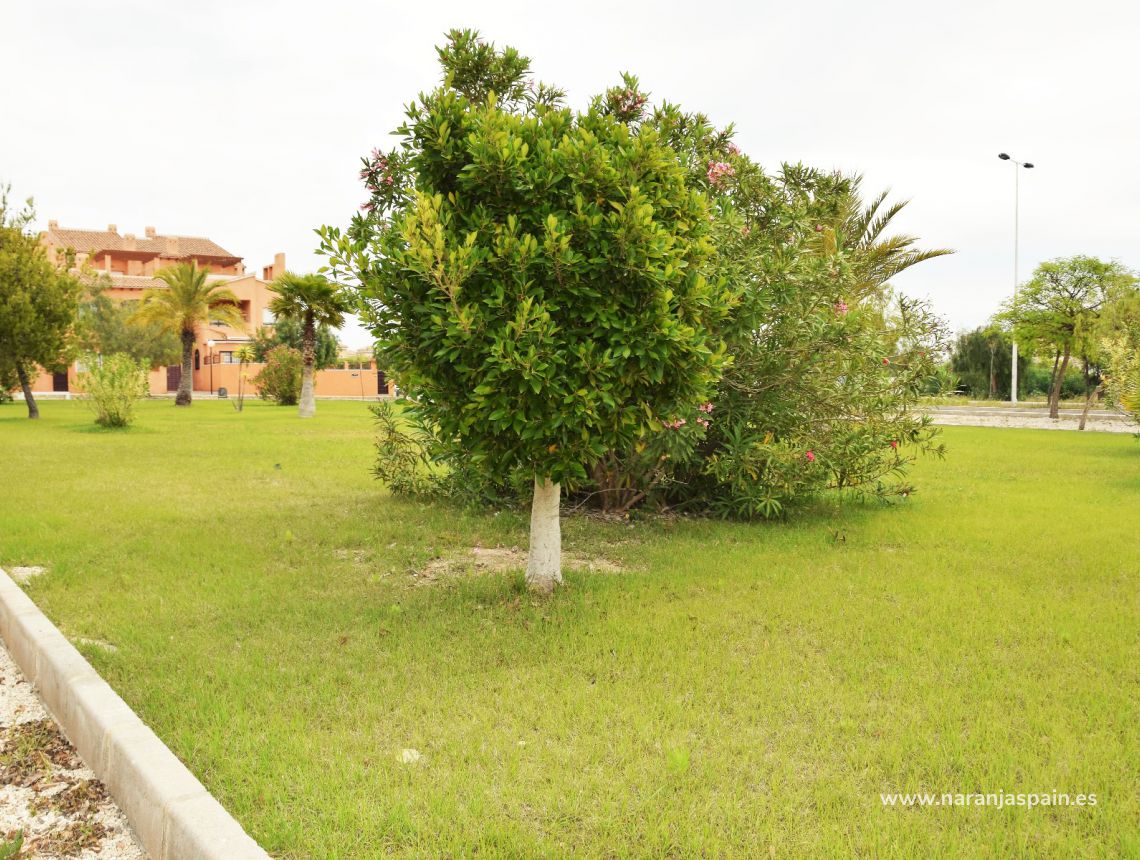 Vinden i Torrevieja. Orange Spanien: Fastigheter i Guardamar.