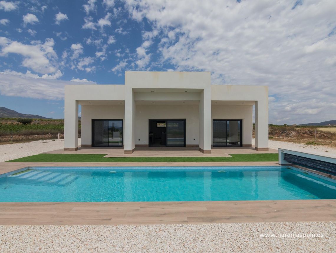  - Willa - Pinoso - Campo