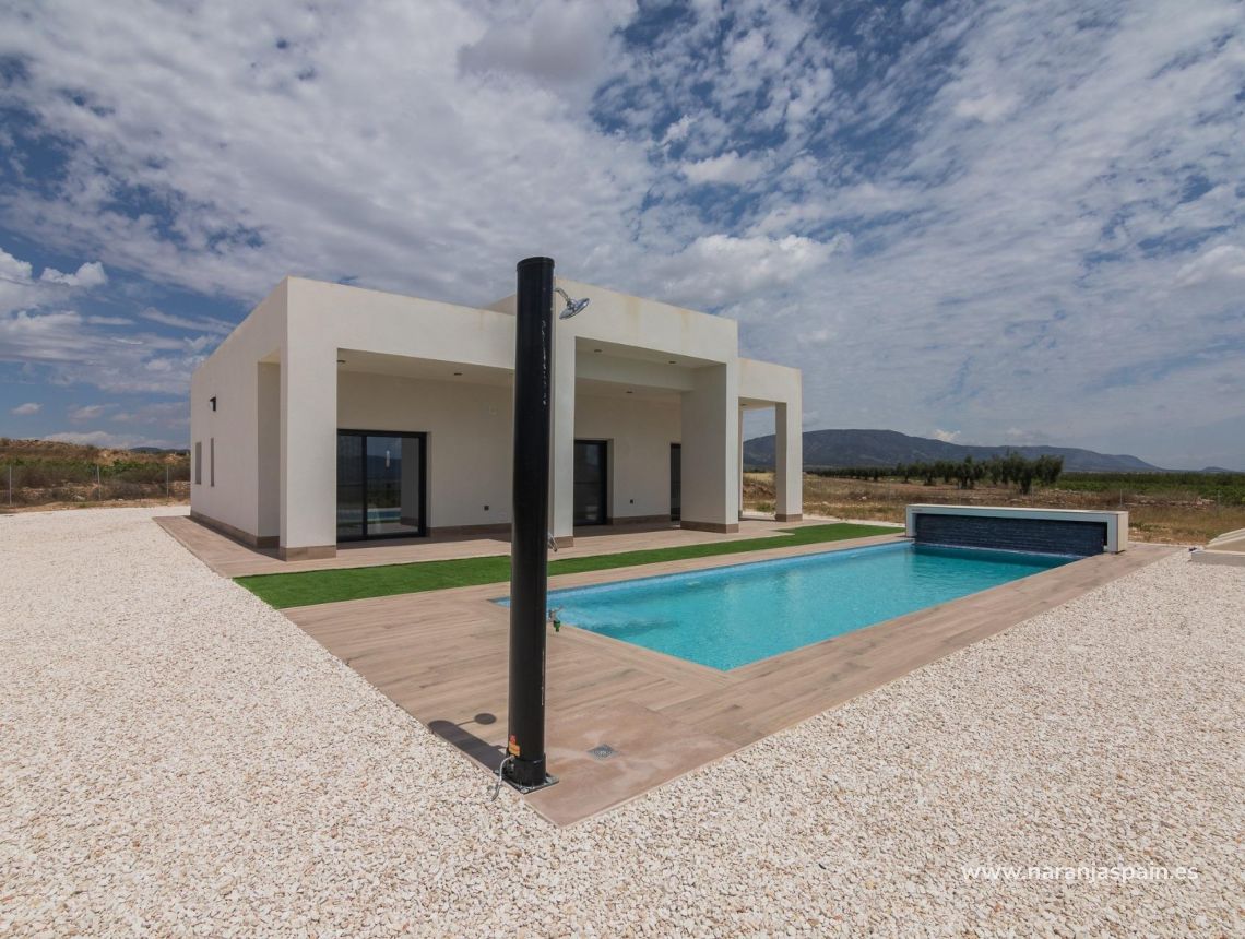  - Willa - Pinoso - Campo