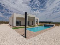  - Willa - Pinoso - Campo