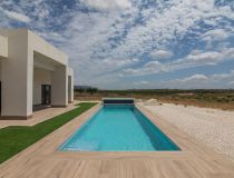  - Willa - Pinoso - Campo