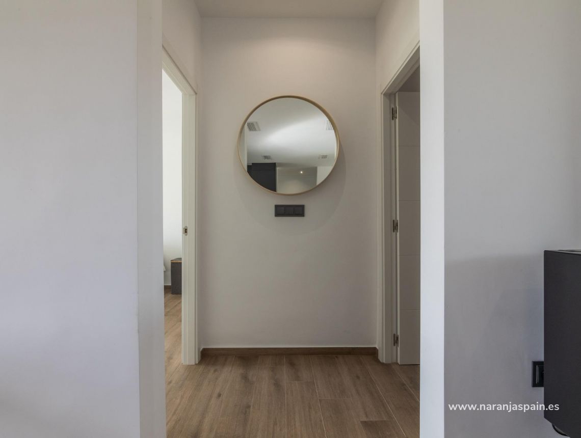  - Willa - Pinoso - Campo