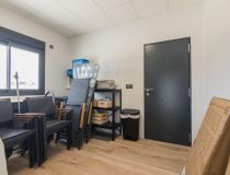  - Willa - Pinoso - Campo